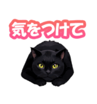 かわいい黒猫達STAMP（個別スタンプ：7）