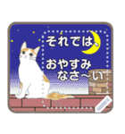 キャッツセンス メッセ―ジ（個別スタンプ：5）