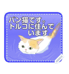 キャッツセンス メッセ―ジ（個別スタンプ：15）