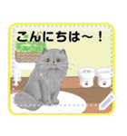 キャッツセンス メッセ―ジ（個別スタンプ：16）