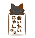 にゃんにゃん猫にゃん。（個別スタンプ：14）