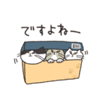 ずっと使える♡猫だらけ（個別スタンプ：17）