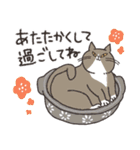 ずっと使える♡猫だらけ（個別スタンプ：39）