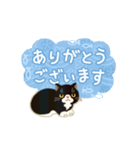 靴下ぽてねこ◎動くスタンプ（個別スタンプ：1）