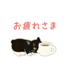 靴下ぽてねこ◎動くスタンプ（個別スタンプ：3）