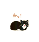 靴下ぽてねこ◎動くスタンプ（個別スタンプ：14）