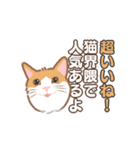 【動く】猫好き民に刺さる猫目線スタンプ（個別スタンプ：3）