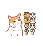 【動く】猫好き民に刺さる猫目線スタンプ（個別スタンプ：6）