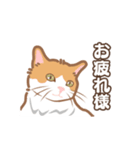 【動く】猫好き民に刺さる猫目線スタンプ（個別スタンプ：12）