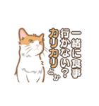 【動く】猫好き民に刺さる猫目線スタンプ（個別スタンプ：13）