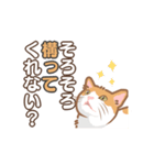 【動く】猫好き民に刺さる猫目線スタンプ（個別スタンプ：14）