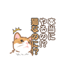 【動く】猫好き民に刺さる猫目線スタンプ（個別スタンプ：15）