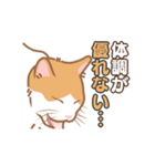 【動く】猫好き民に刺さる猫目線スタンプ（個別スタンプ：23）