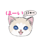 動く☆毎日ねこスタンプ（個別スタンプ：3）