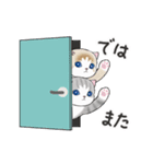 動く☆毎日ねこスタンプ（個別スタンプ：8）