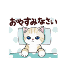 動く☆毎日ねこスタンプ（個別スタンプ：16）