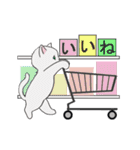 動く☆毎日ねこスタンプ（個別スタンプ：19）