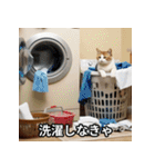 面白い猫ミームスタンプ【家事・主婦】（個別スタンプ：3）