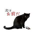 黒猫うにのスタンプ（個別スタンプ：9）