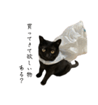 黒猫うにのスタンプ（個別スタンプ：10）
