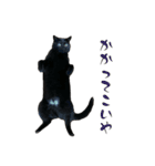 黒猫うにのスタンプ（個別スタンプ：11）