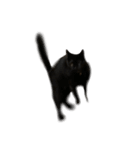 黒猫うにのスタンプ（個別スタンプ：23）
