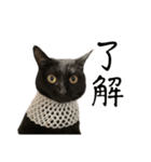 黒猫うにのスタンプ（個別スタンプ：27）