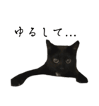 黒猫うにのスタンプ（個別スタンプ：32）