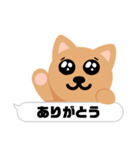 catのすたんぷ1（個別スタンプ：5）