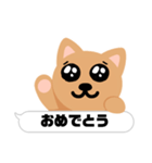 catのすたんぷ1（個別スタンプ：34）