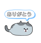 猫が過ごす1日（個別スタンプ：19）