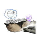 はるぎんスタンプ1（個別スタンプ：8）