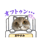 マンチカン子猫4（個別スタンプ：4）