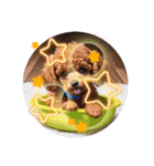 we LOVE dog wow（個別スタンプ：4）