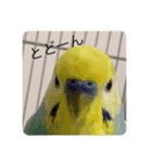 にこにこころ（個別スタンプ：2）