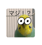 にこにこころ（個別スタンプ：7）