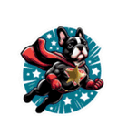 スーパーわん(French bulldog) Sticker（個別スタンプ：11）