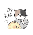 4種のねこ【日常スタンプ】（個別スタンプ：1）