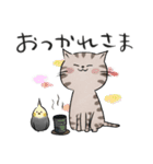 4種のねこ【日常スタンプ】（個別スタンプ：6）