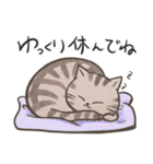 4種のねこ【日常スタンプ】（個別スタンプ：12）