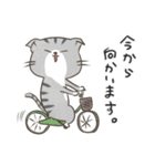 4種のねこ【日常スタンプ】（個別スタンプ：27）