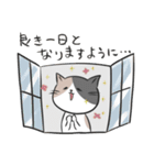 4種のねこ【日常スタンプ】（個別スタンプ：33）