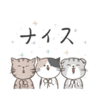 4種のねこ【日常スタンプ】（個別スタンプ：35）