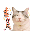 武士風な絵夢くん（個別スタンプ：1）