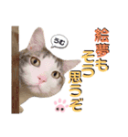 武士風な絵夢くん（個別スタンプ：2）