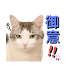 武士風な絵夢くん（個別スタンプ：5）