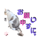 武士風な絵夢くん（個別スタンプ：6）