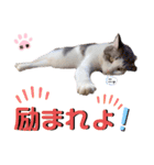 武士風な絵夢くん（個別スタンプ：7）