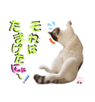 武士風な絵夢くん（個別スタンプ：8）