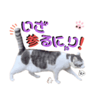 武士風な絵夢くん（個別スタンプ：9）